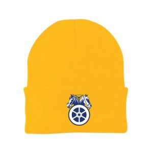 TEAMSTERS LOGO DOUBLE HORSE HEAD USA MADE UNION EMBROIDERED BEANIE